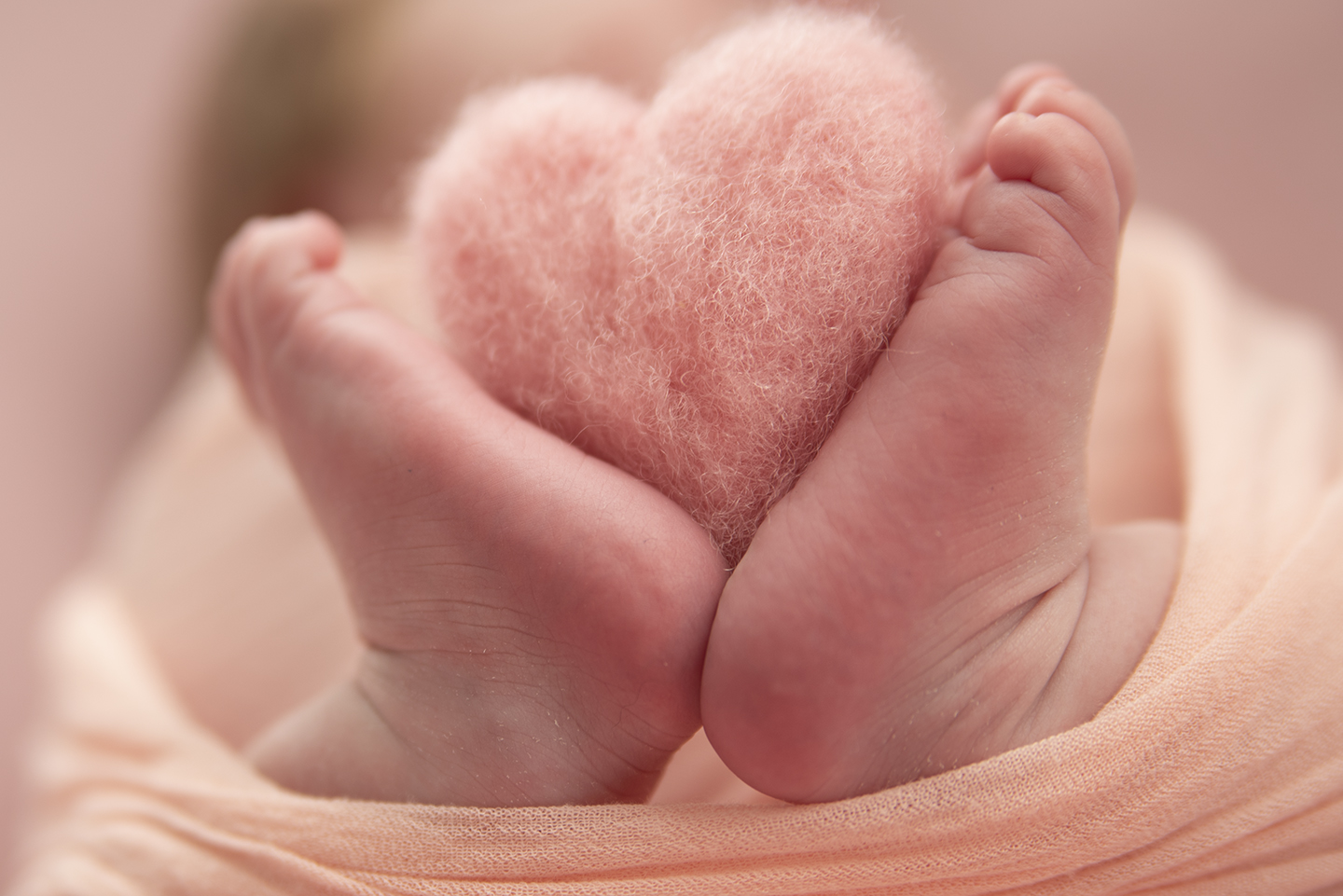 Read more about the article Beebifotode Avaldamine – Kelle Otsus See On?